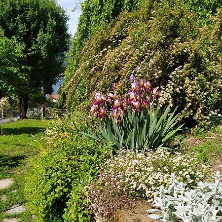 Il Bogno B&B Льєрна Екстер'єр фото